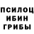 Псилоцибиновые грибы мицелий Tanja Rynkov