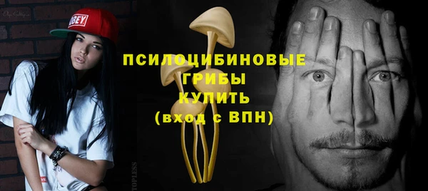 шишки Балабаново