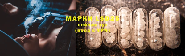 кокс Баксан