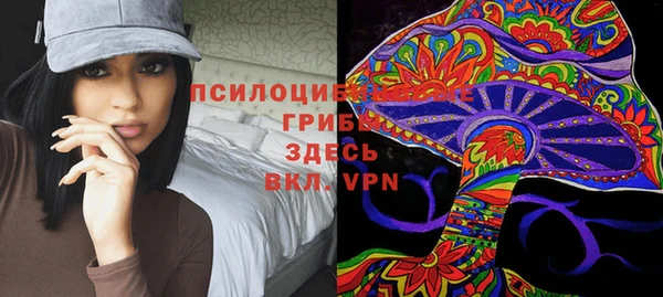 стафф Пролетарск