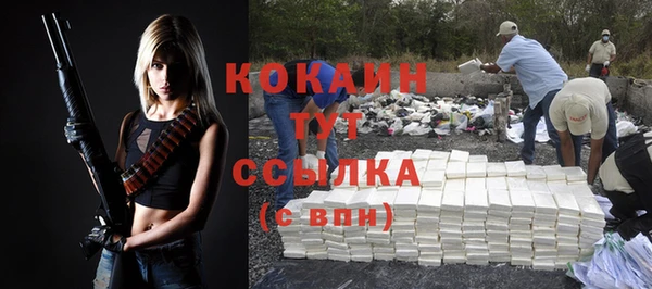 шишки Балабаново
