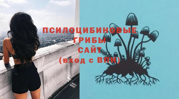хмурый Балахна