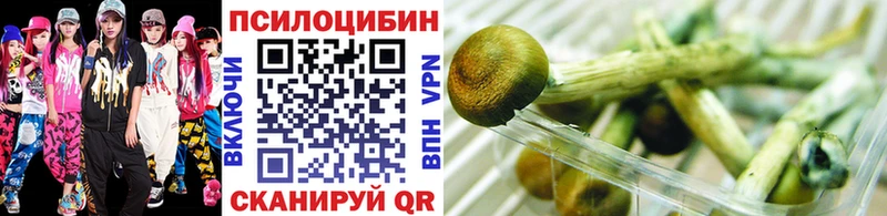 Галлюциногенные грибы ЛСД  omg как войти  Светогорск  что такое наркотик 