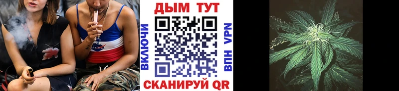 Канабис конопля  мега зеркало  Светогорск 